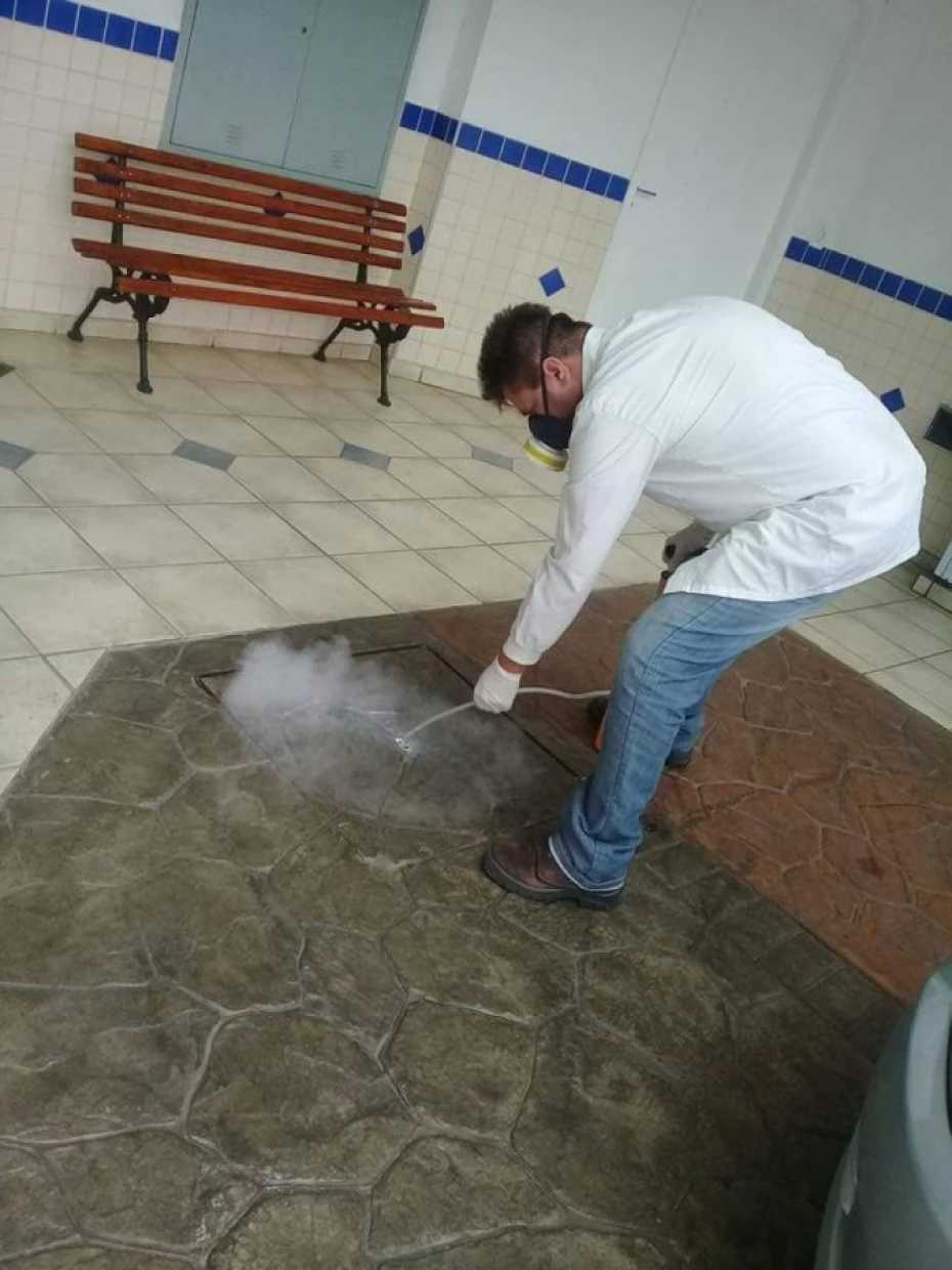 Foto 10:  — Portal Dedetizadora