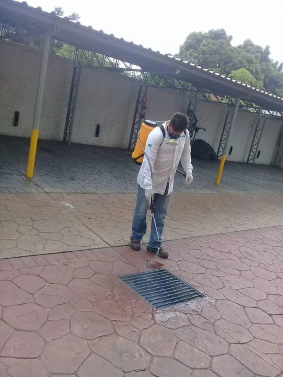Foto 15:  — Portal Dedetizadora