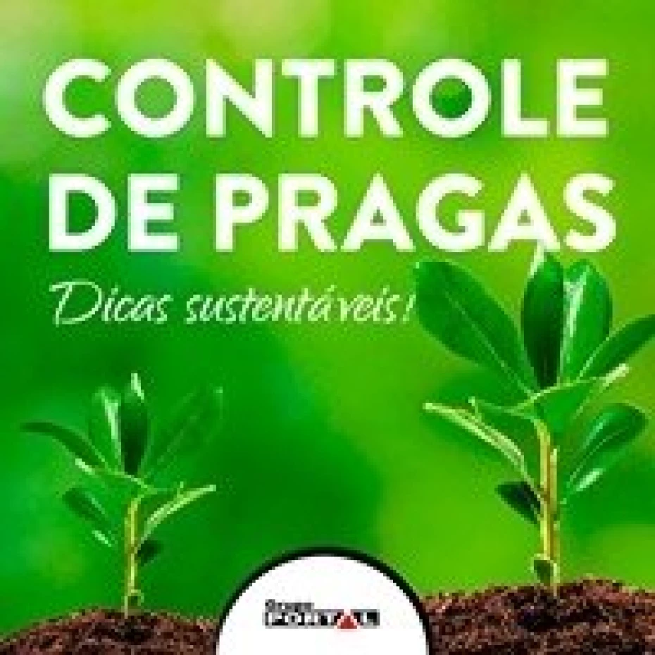 Foto 8:  — Portal Dedetizadora